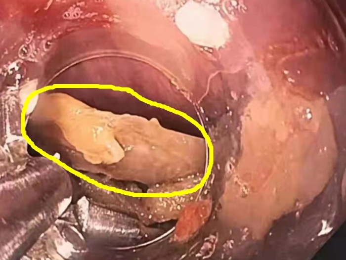 微信圖片_20210907143650 微信圖片_20210907143650