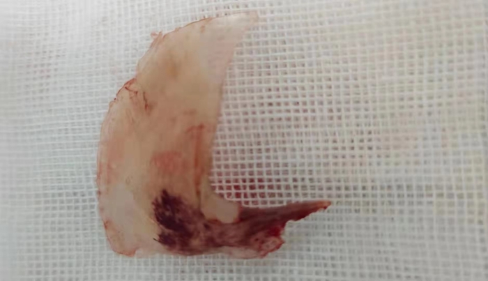 微信圖片_20210907143655 微信圖片_20210907143655